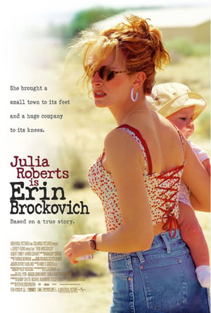 3. Erin Brockovich